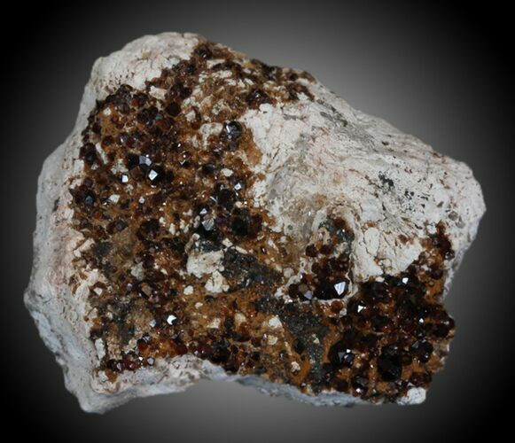 Dark Spessartine Garnet Cluster - China #32574